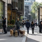 5 London Industries Quietly Booming in 2026