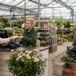 Who Accepts National Garden Gift Vouchers Online and In-Store